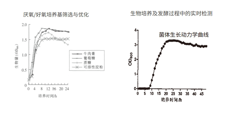 過程安全,結(jié)果精準