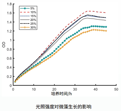 微藻在位培養檢測